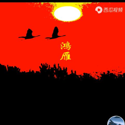 鸿雁