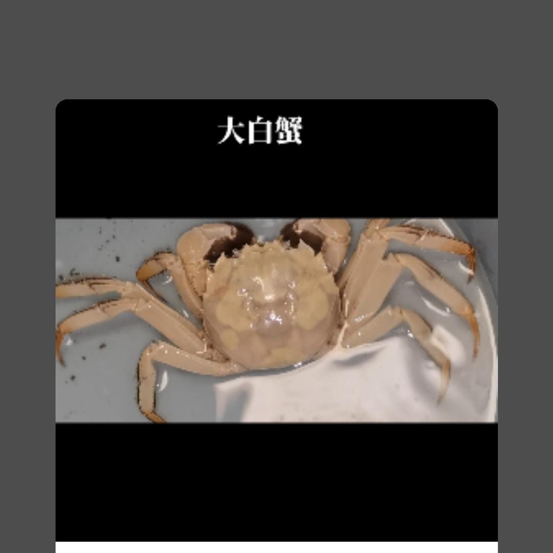 大白蟹