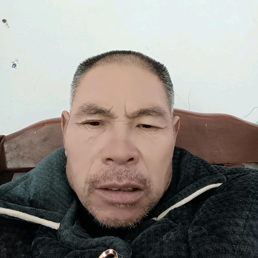老鹿收光