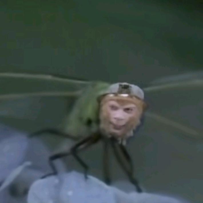 啊哈，抓住一条博🐟🐟