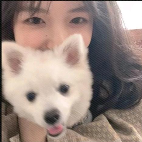 佳.