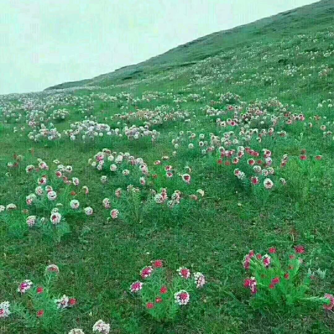 用户9723039881514