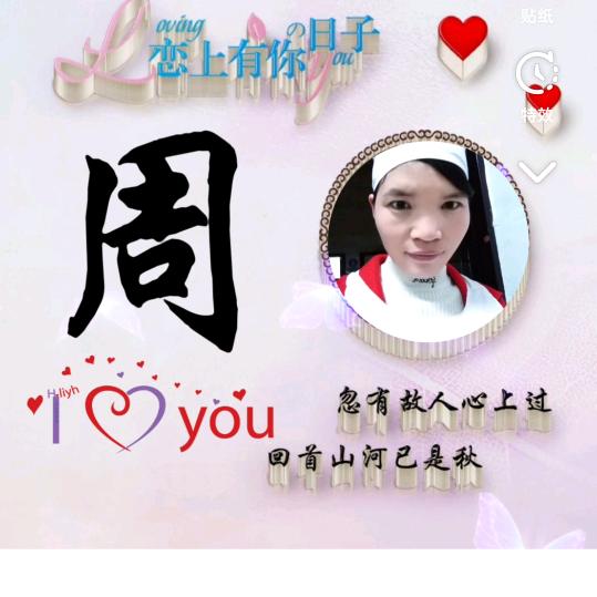 z独来独往