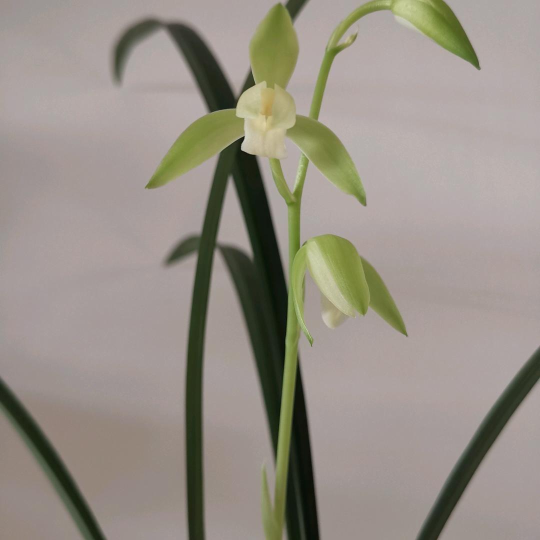 阳光洒进你心里