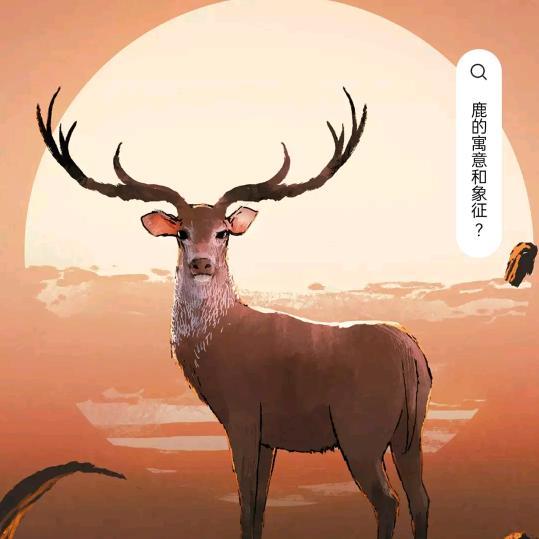 @燕姐