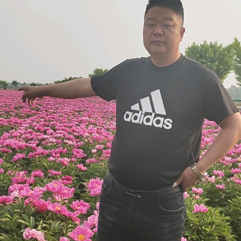 亳州人在新疆种植药材