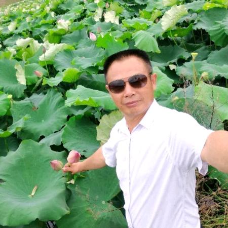 绿色海洋