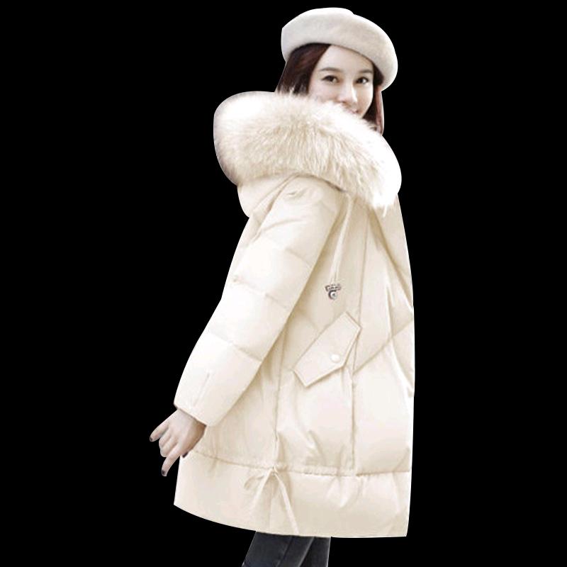 正在努力奋斗的人互关