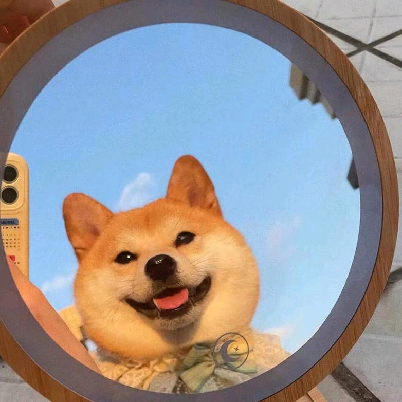 小磊