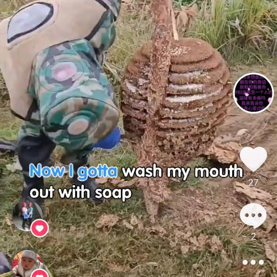 我的故事里有你