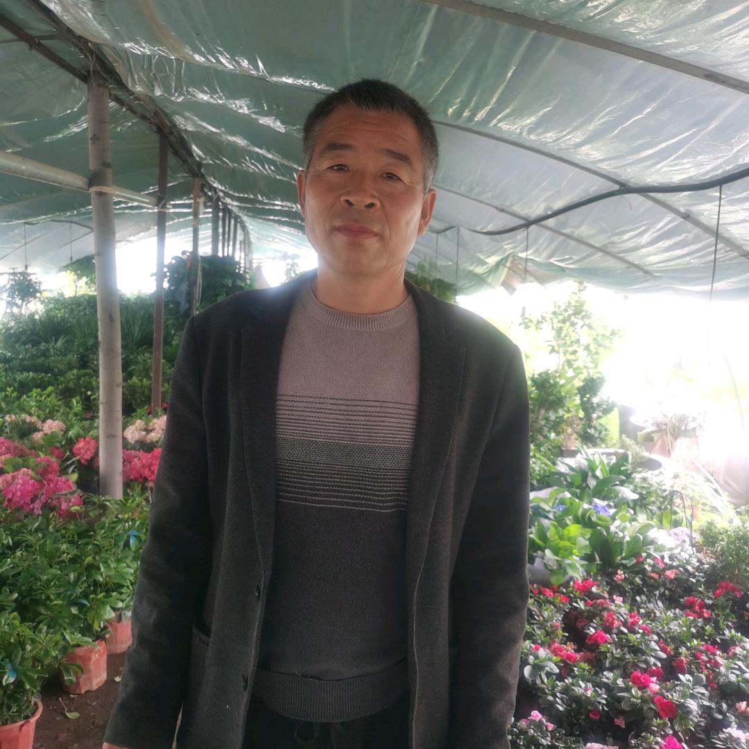 汝州市杨楼平利花卉种植基地
