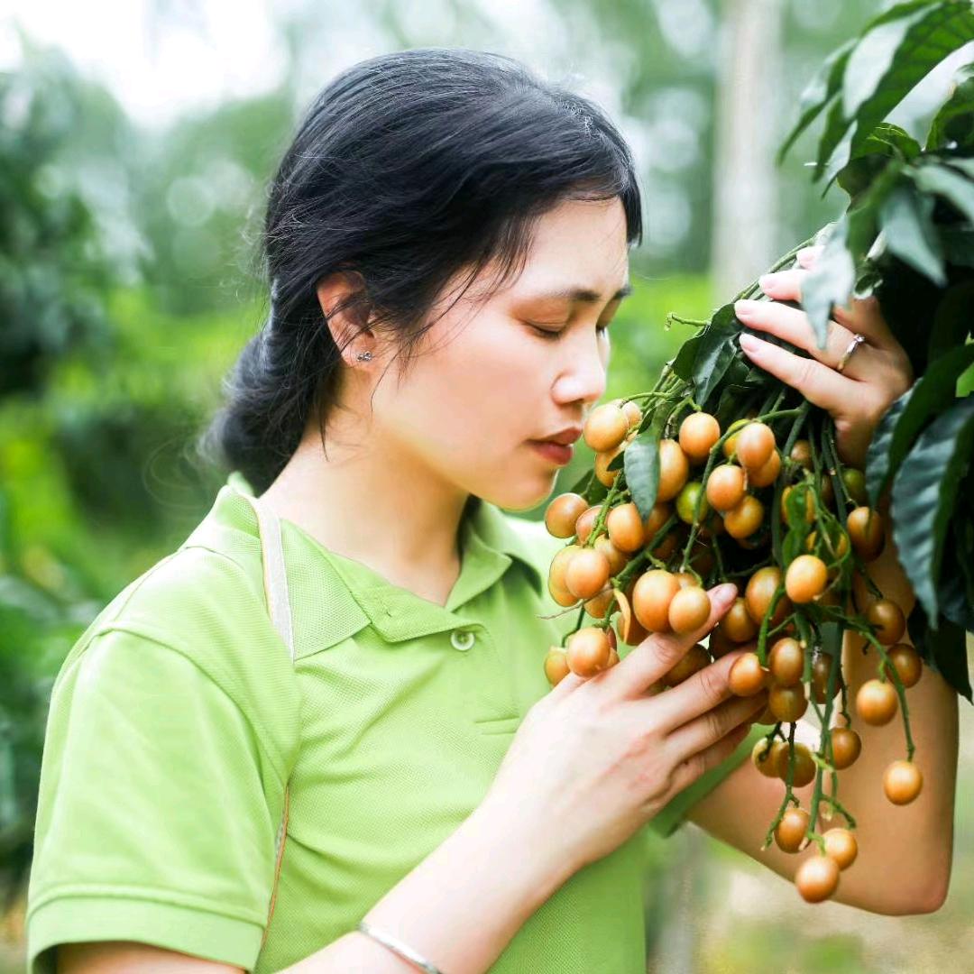 廉帆红橙廉帆一帆风顺商行～清姐