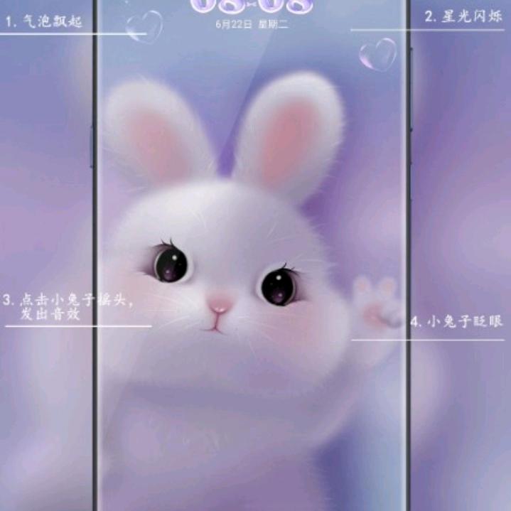 冬飞泽