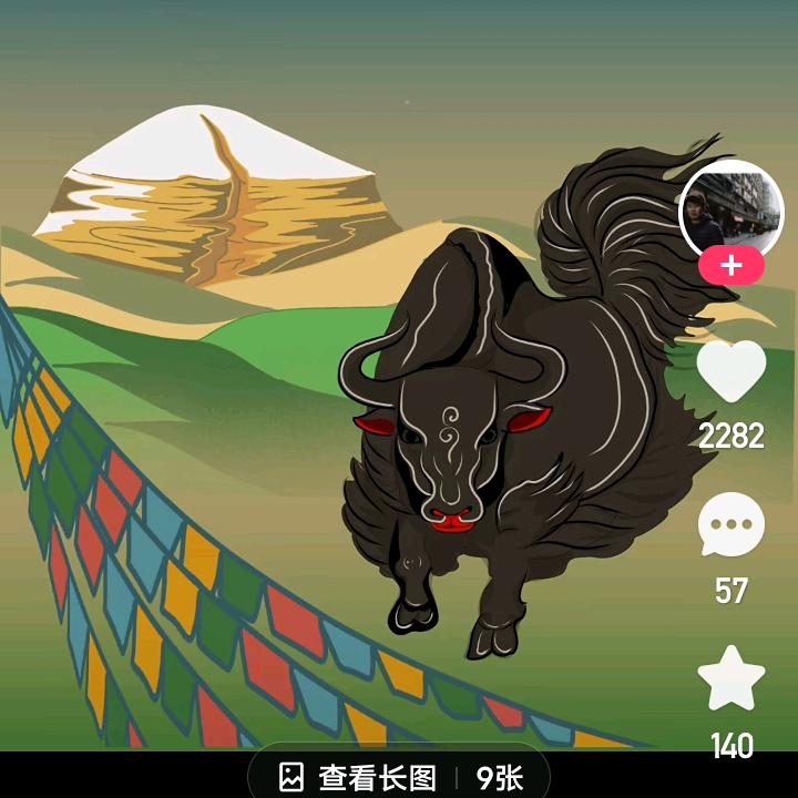 青海山羊