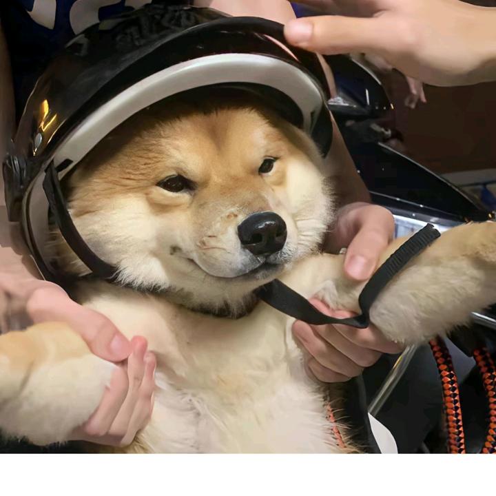 烂泥扶不上墙