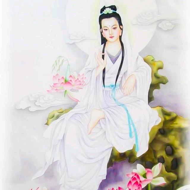 ┾隨檒┡飛揚