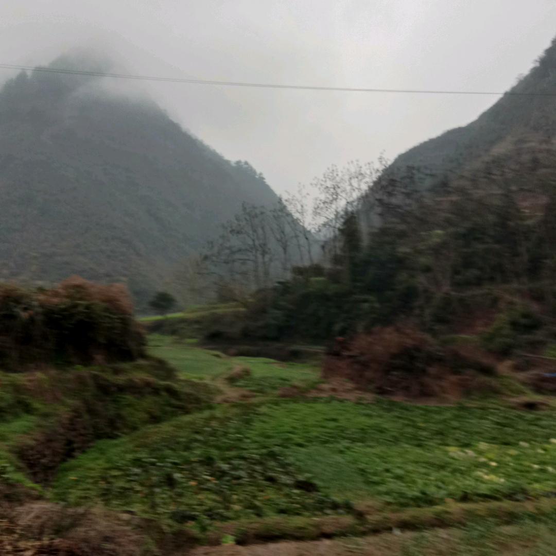 天天好运来《老徐》