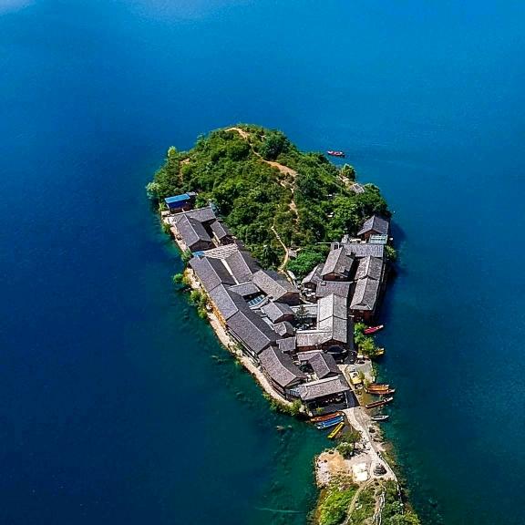 随风起浪