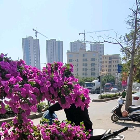 @远嫁农家女儿🍊🍎