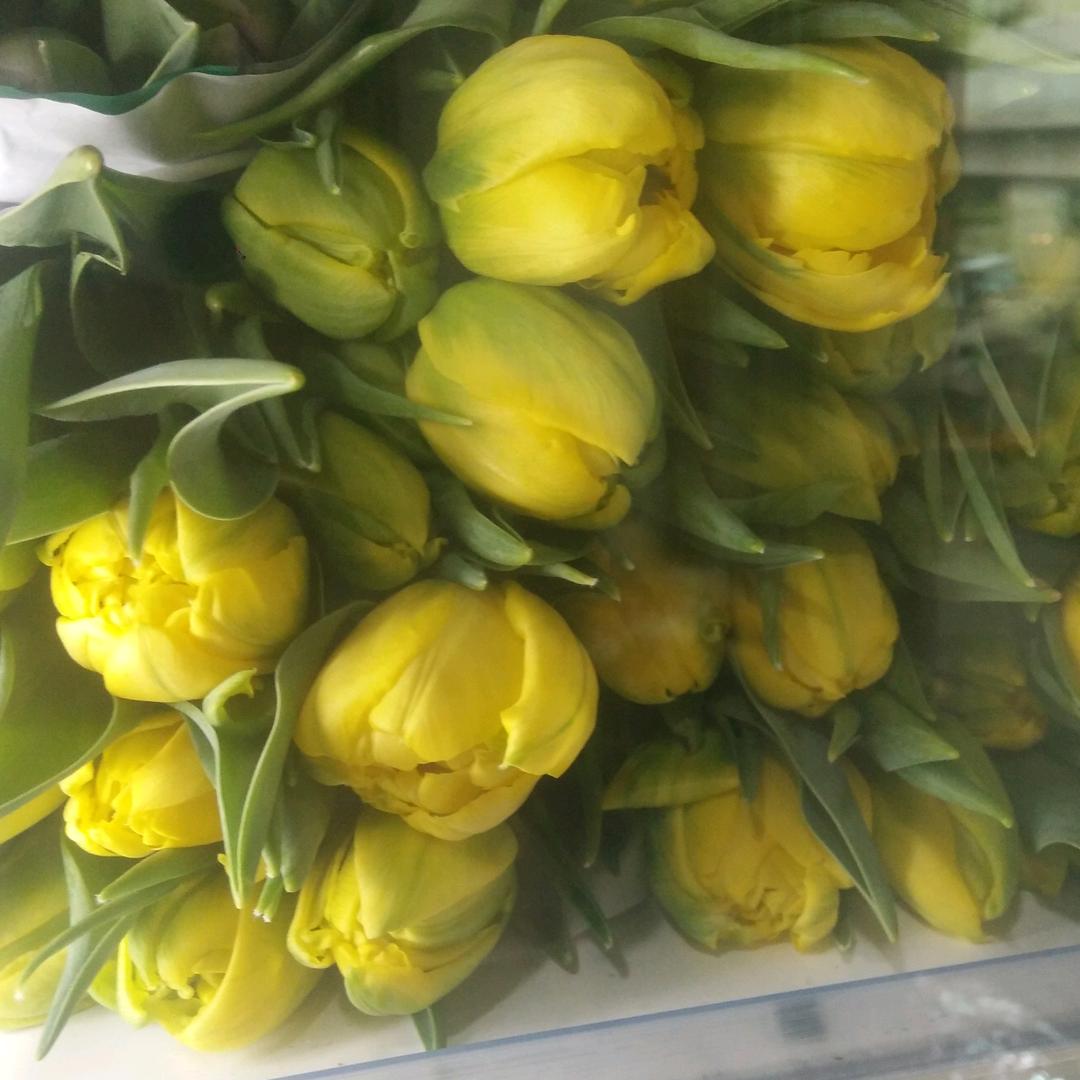 浙江杭州鲜花批发