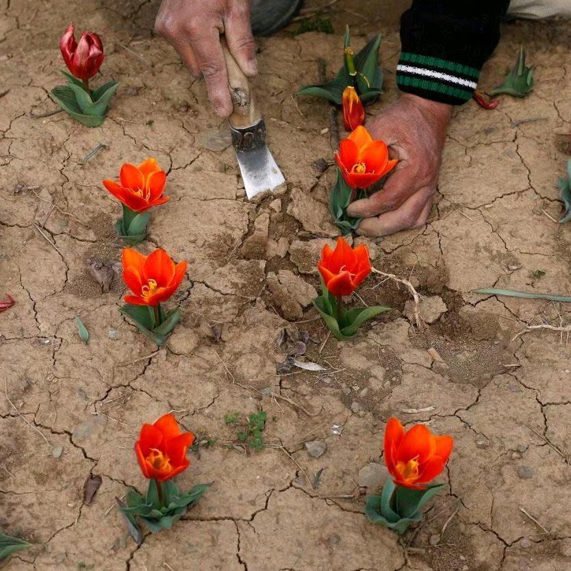 “天气好的话 我会去找你”