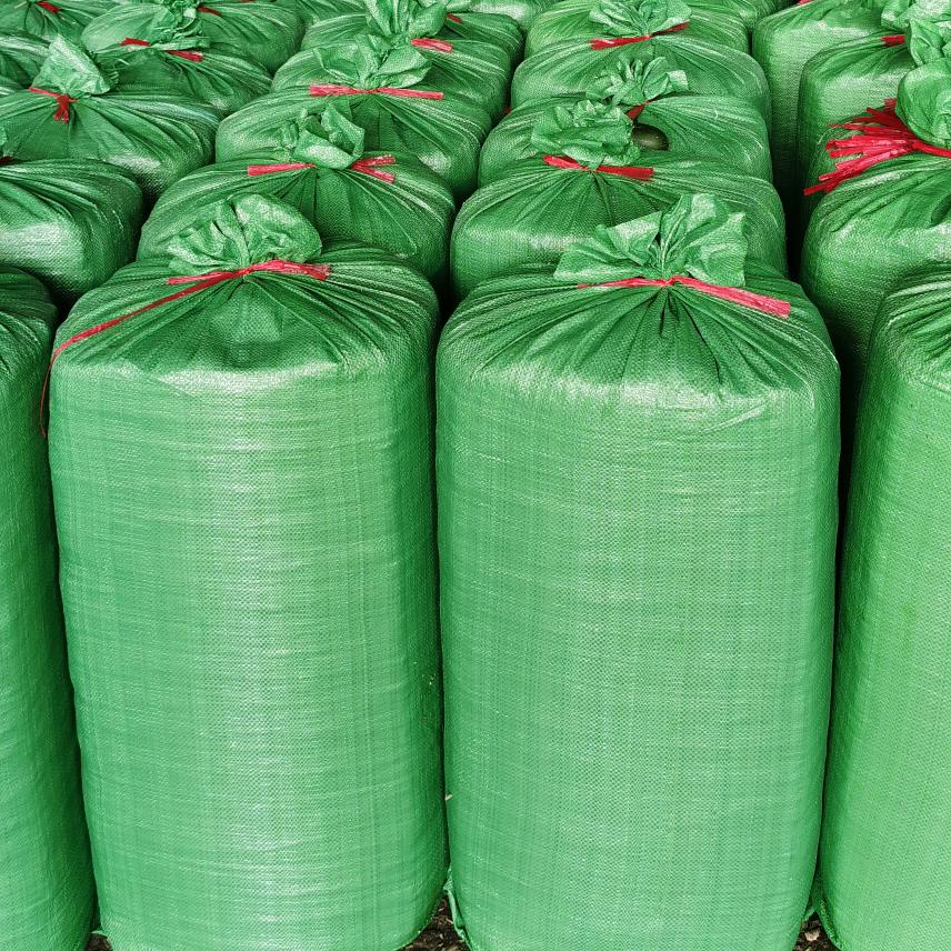 罗晶晶甜玉米青储料