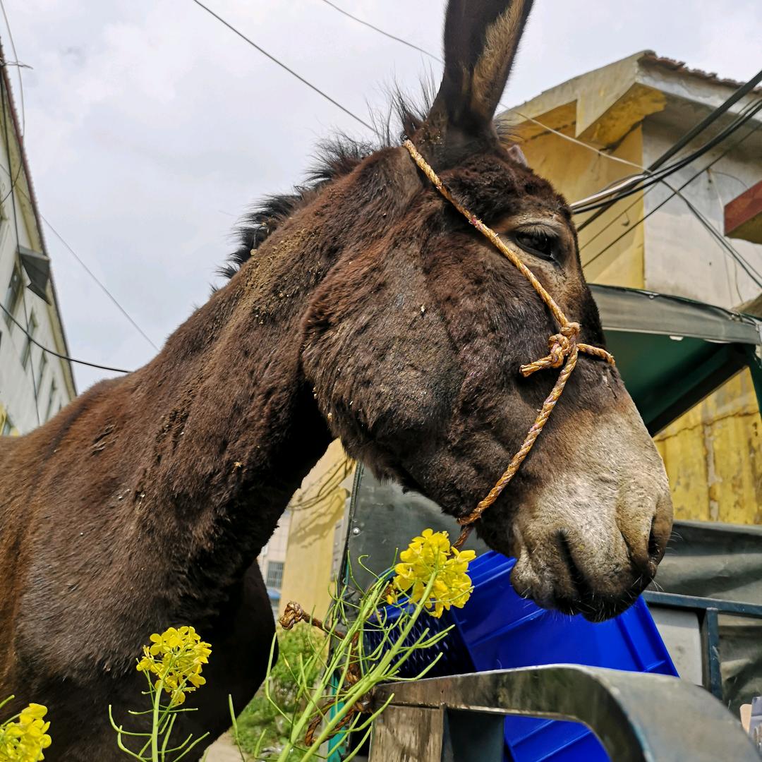 济宁市任城区海通餐饮店