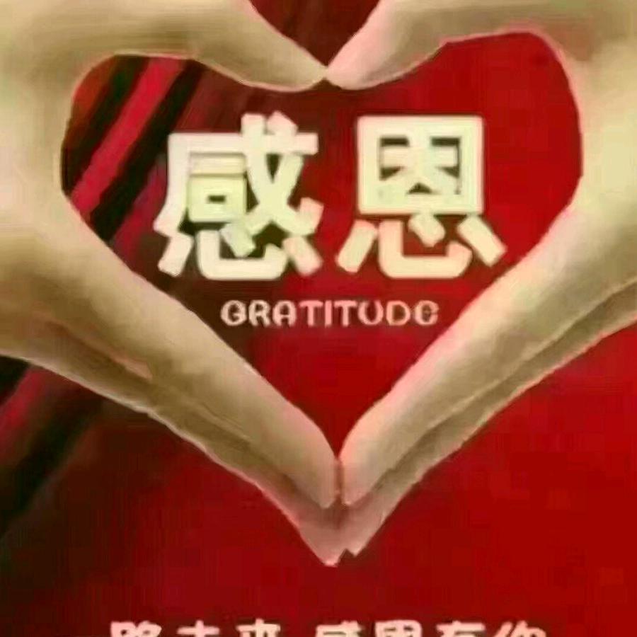 蝴蝶依梦