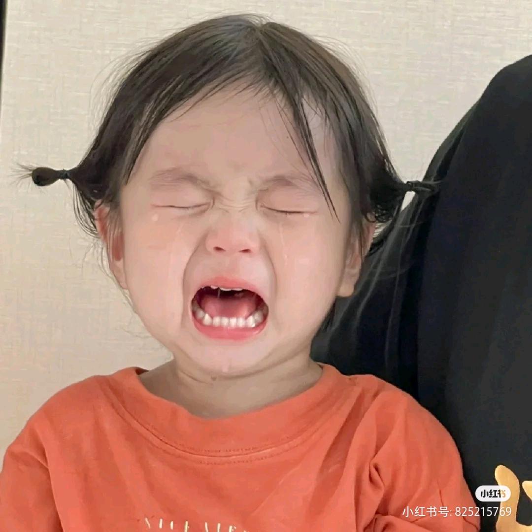 樱桃煮小丸子(◔◡◔)