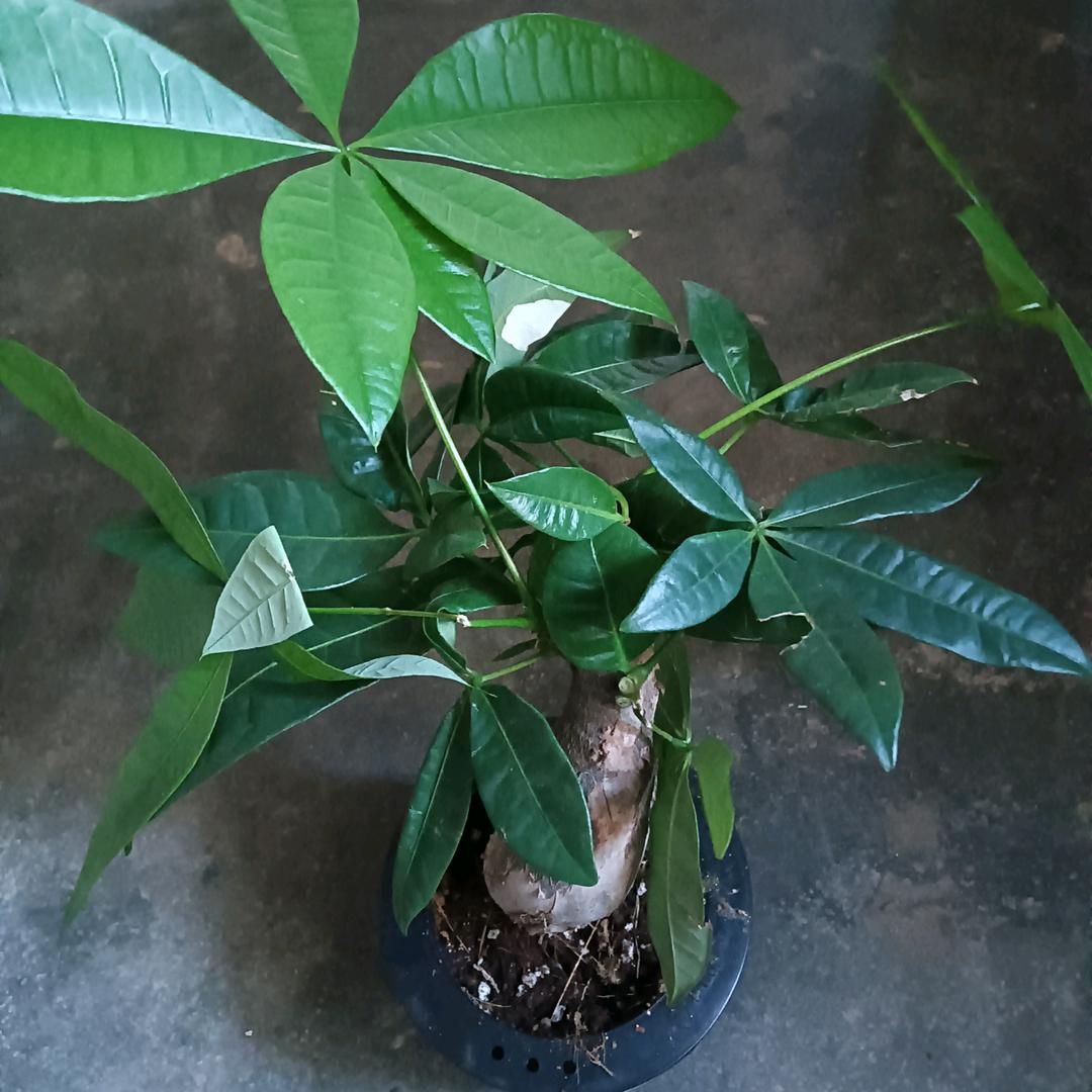 🌈🌈🌈🌈🌈隔壁老陈🌈🌈🌈