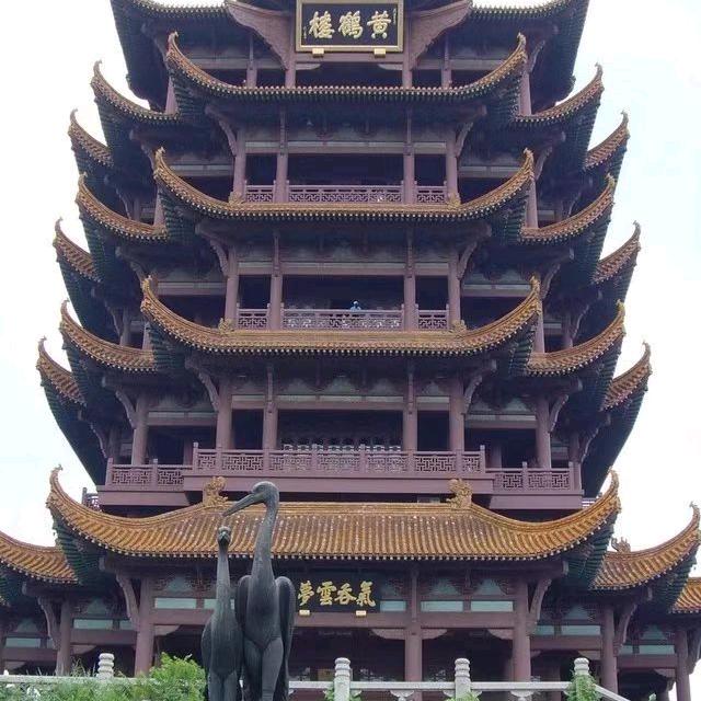 苟辅军