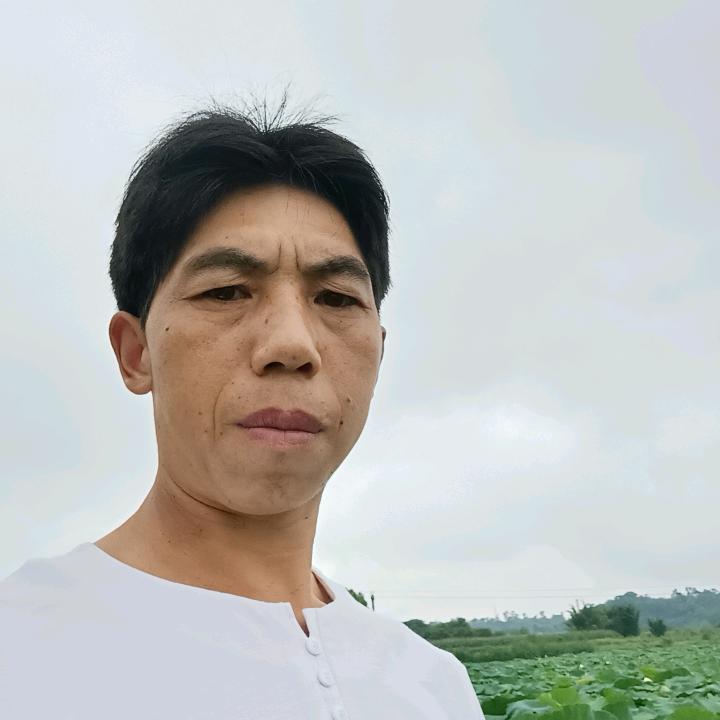 轻鸿
