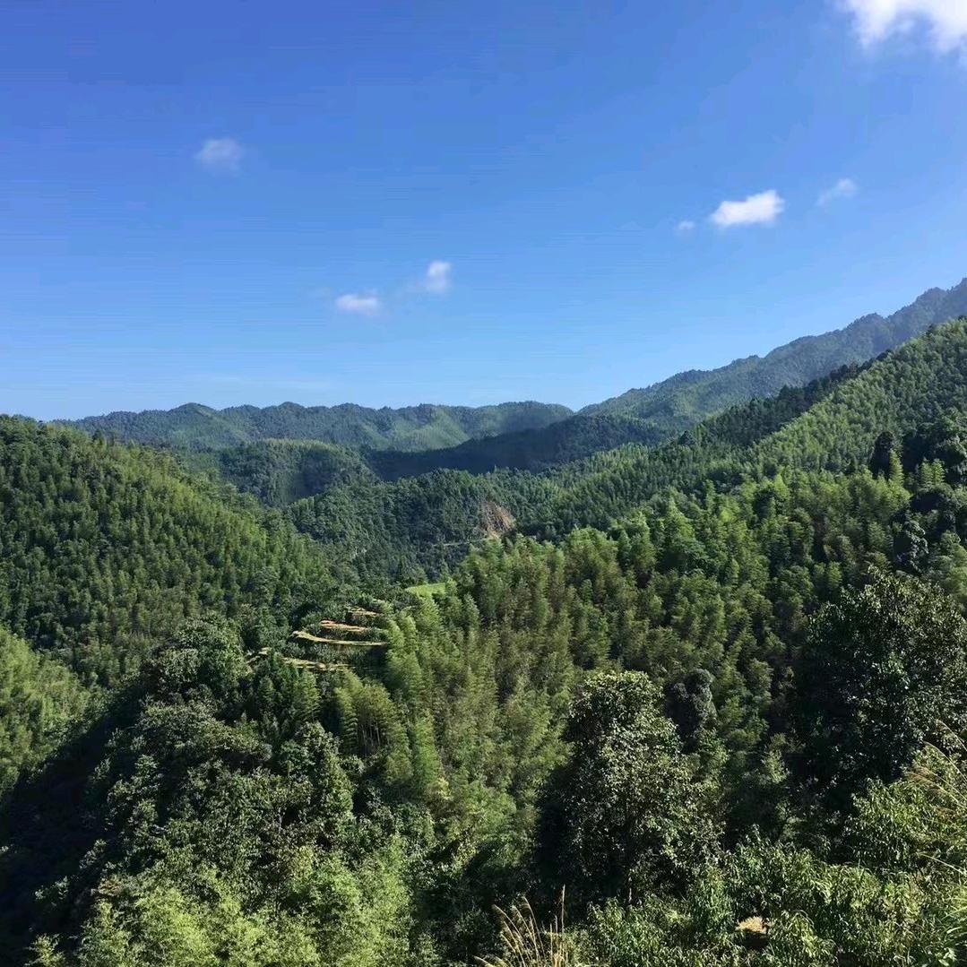 勇往直前