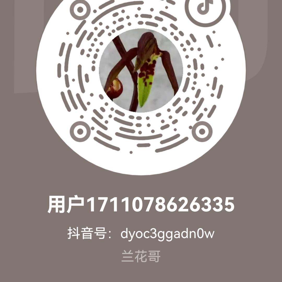 用户1711078626335