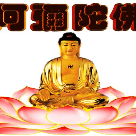 (遂宁江哥)(少帅)川军兄弟161大队