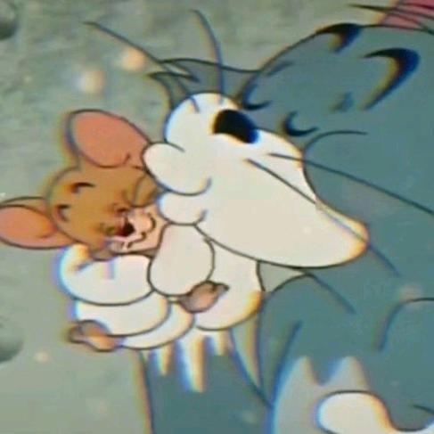喝不醉的猫