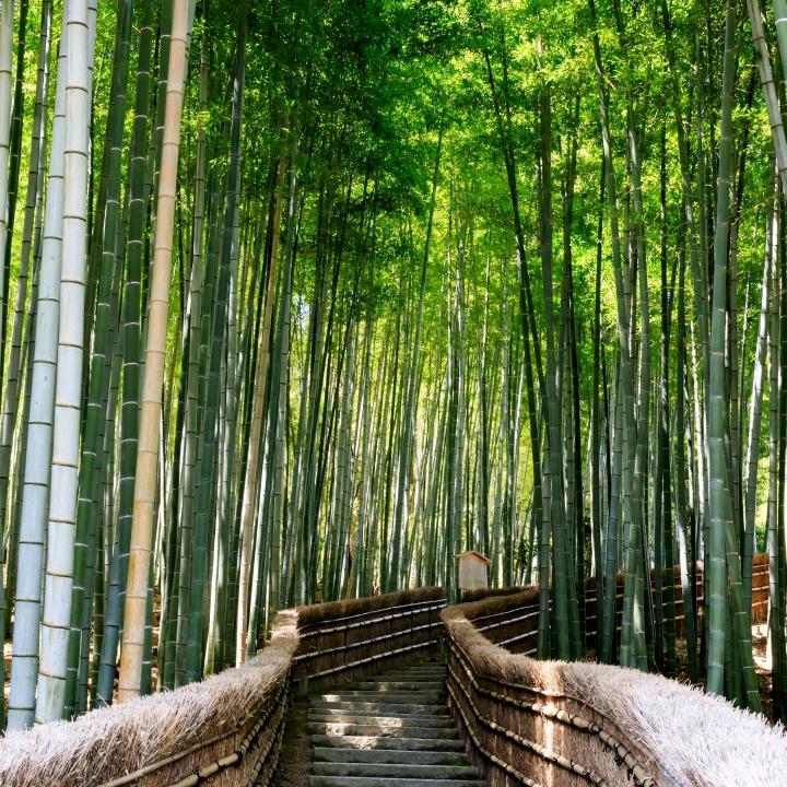 达乘竹艺加工厂