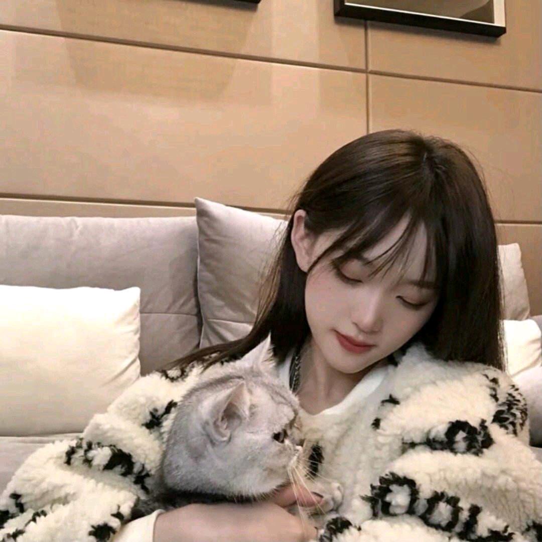 🤗麦兜