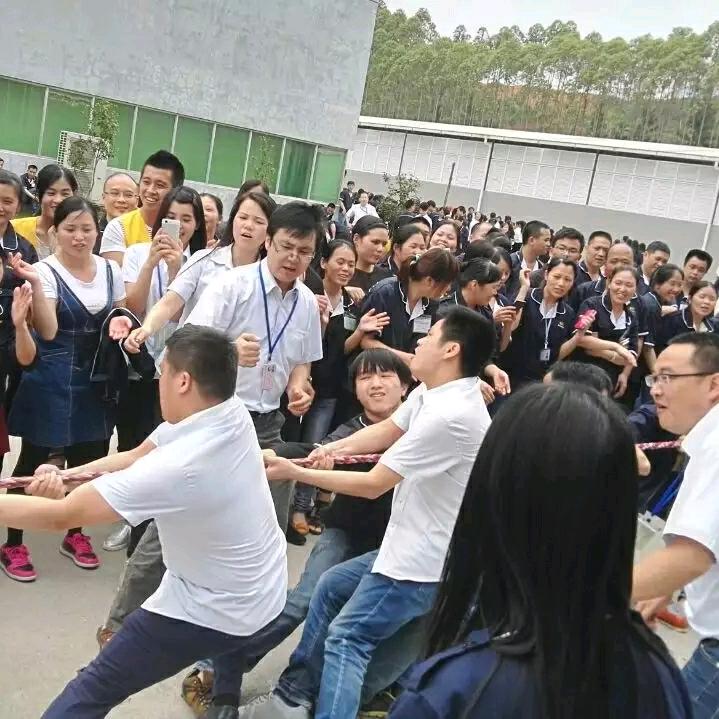 线路板FPC软板