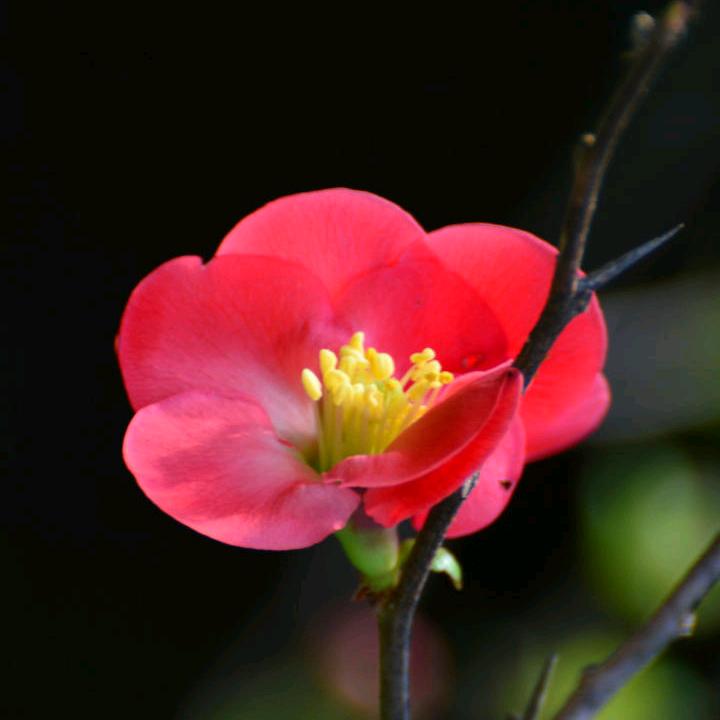 岁月何曾饶过谁