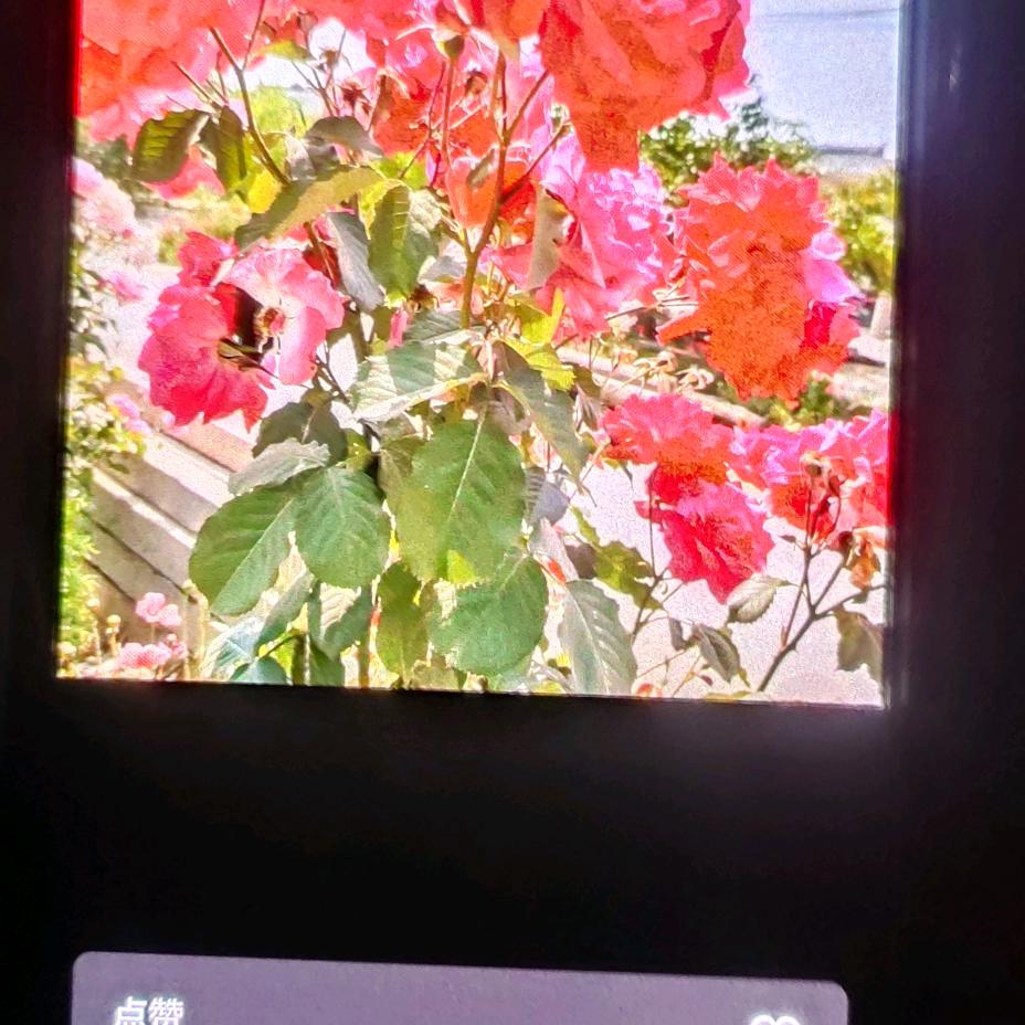 顺其自然好运来