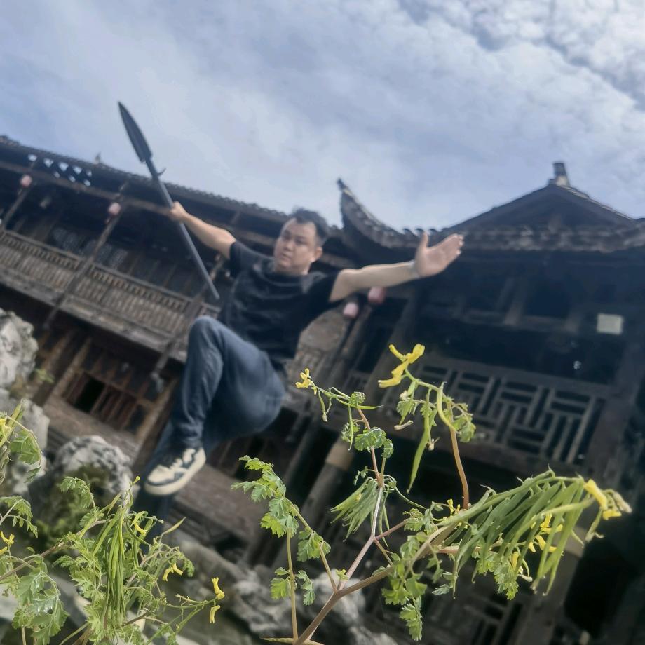 拼命三郎