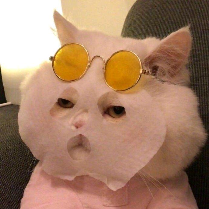 墨家子弟