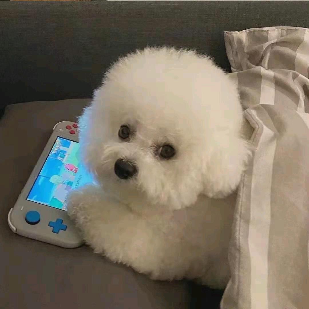 英子