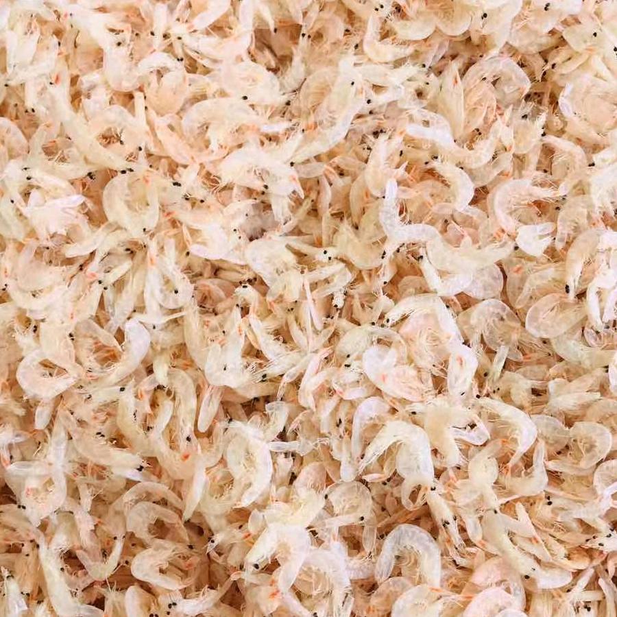 日照海中宝水产海鲜食品