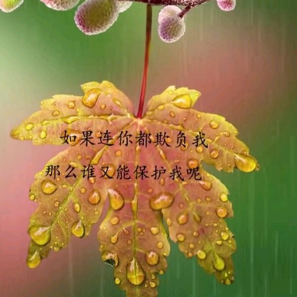 时光静好
