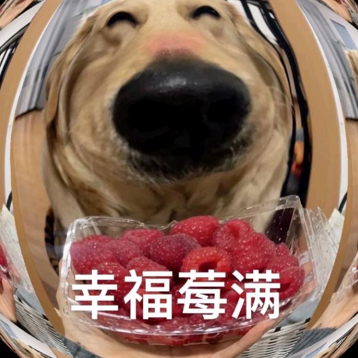 啷个李个啷