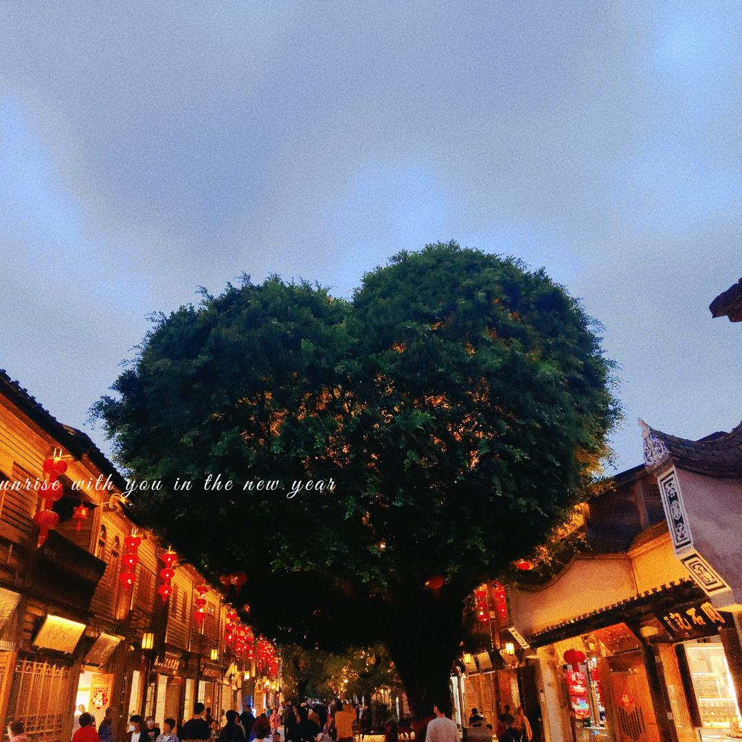 无敌果果