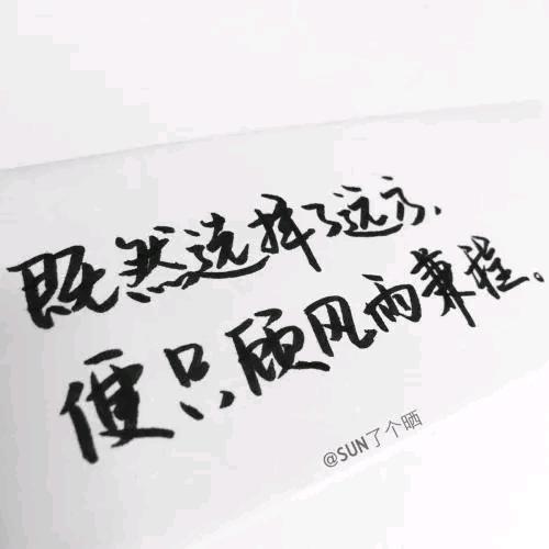大漠苍狼