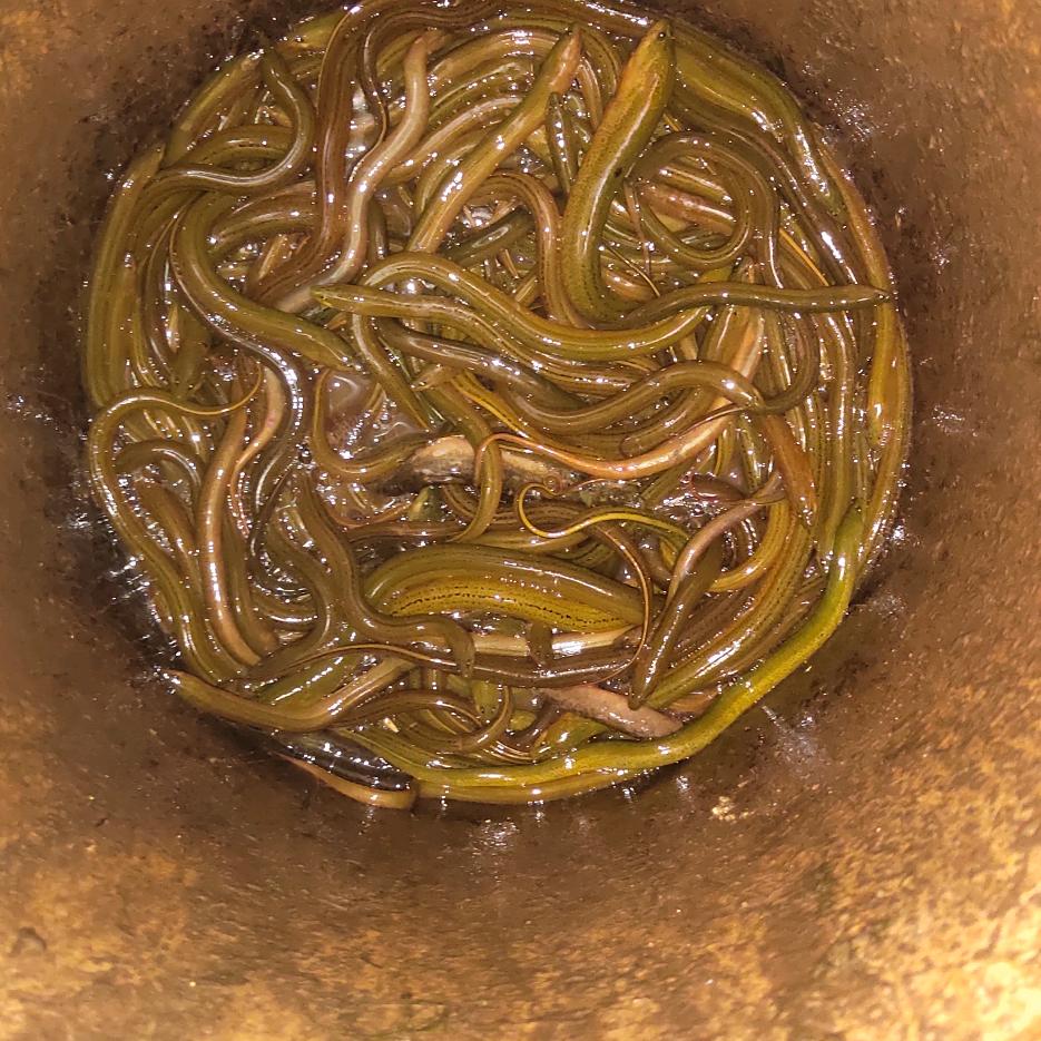 黑粉⭐⭐无情🌵